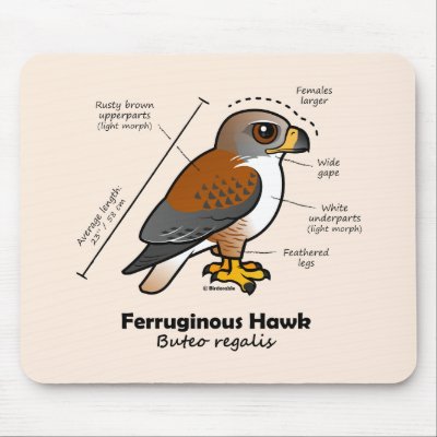 Ferruginous Hawk Statistics Mouse Pad