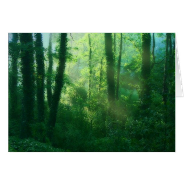 Fertility Card (Front Horizontal)