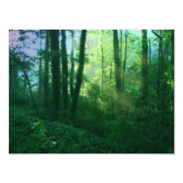 Fertility Photo Print (Front)