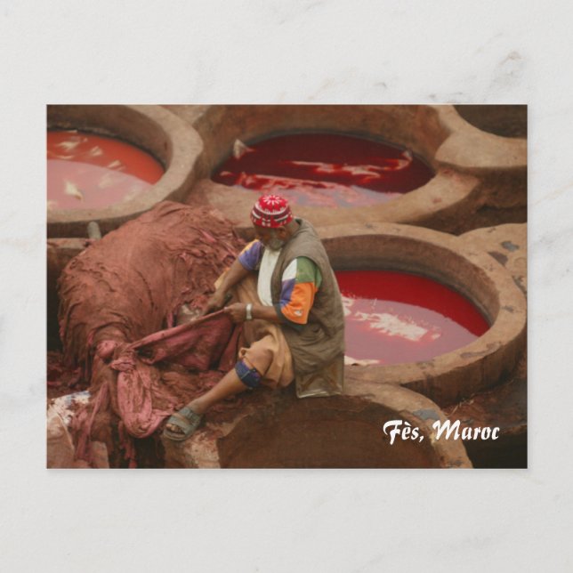 Fès, Maroc Postcard (Front)