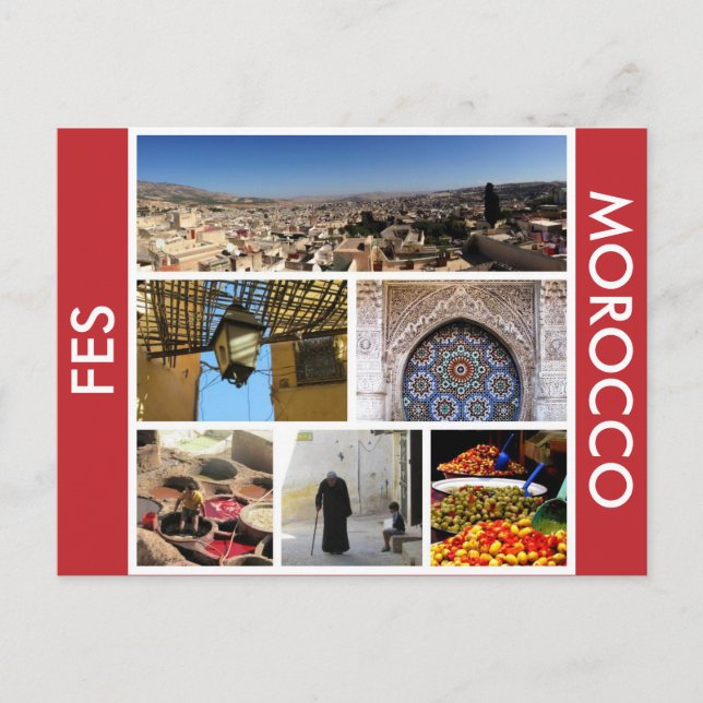 fes scenes postcard (Front)