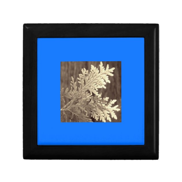 Festive Alpine Blue Sepia Evergreen Holiday Branch Gift Box Zazzle