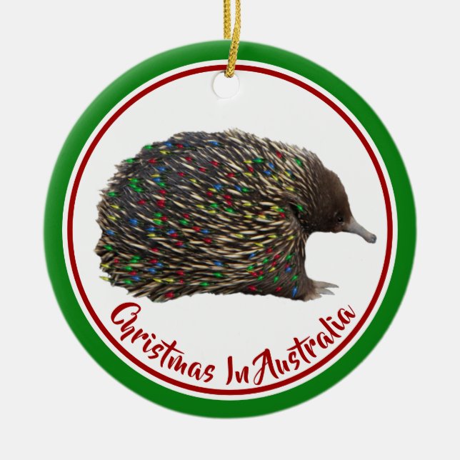 Festive Australia Echidna wearing Christmas Lights Ceramic Ornament (Front)