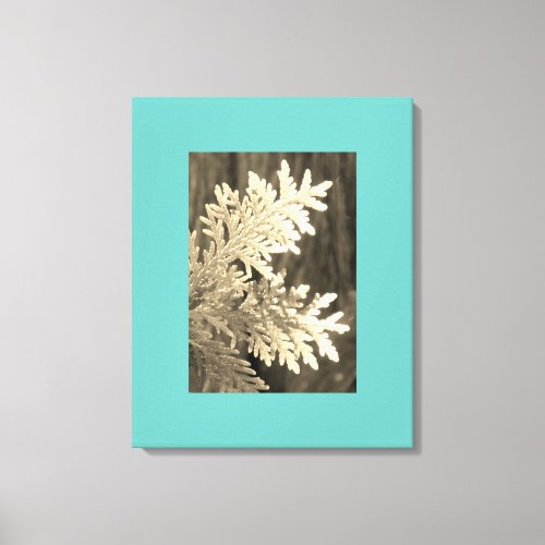 Festive Backlit Cedar Evergreen Bough Teal Border Canvas Print