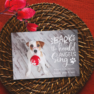 Festive Barks Pet Photo Holiday Card