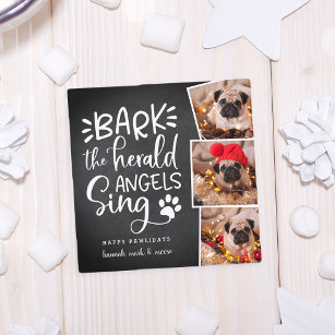 Festive Barks   Square Holiday Pet Photo Card