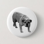 Festive Bulldog Pin
