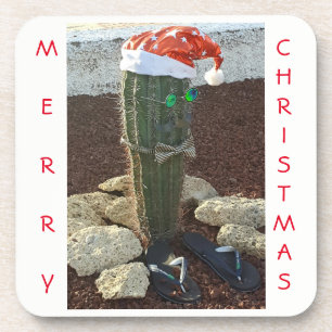 Festive cactus plant view coasters