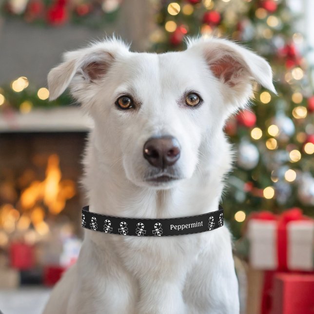 Festive Candy Canes Black And White Christmas Pet Collar