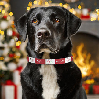 Festive Candy Canes Christmas Red And White X-Mas Pet Collar
