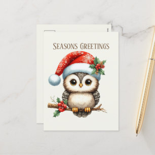 Festive Christmas add message owl Holiday Postcard