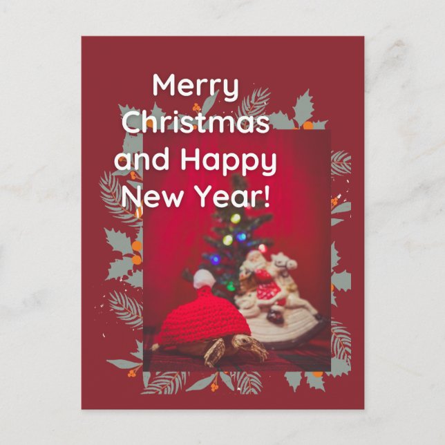 Festive Christmas Baby Sulcata Tortoise in red hat Postcard (Front)