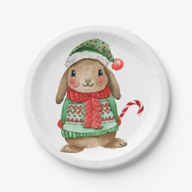 Festive christmas bunny with candy cane paper plates (Front)