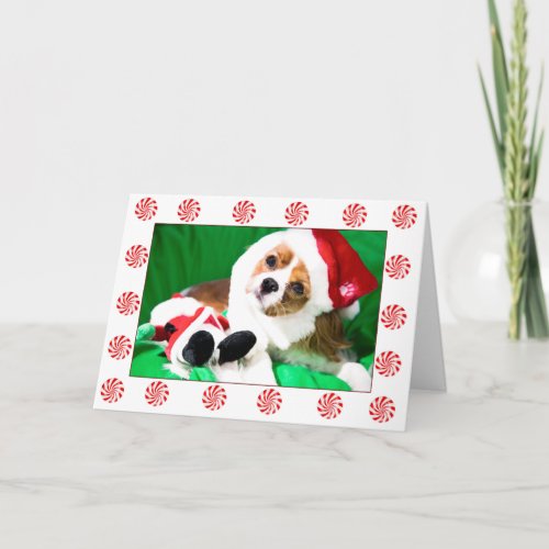 Festive Christmas Cavalier King Charles Puppy Card