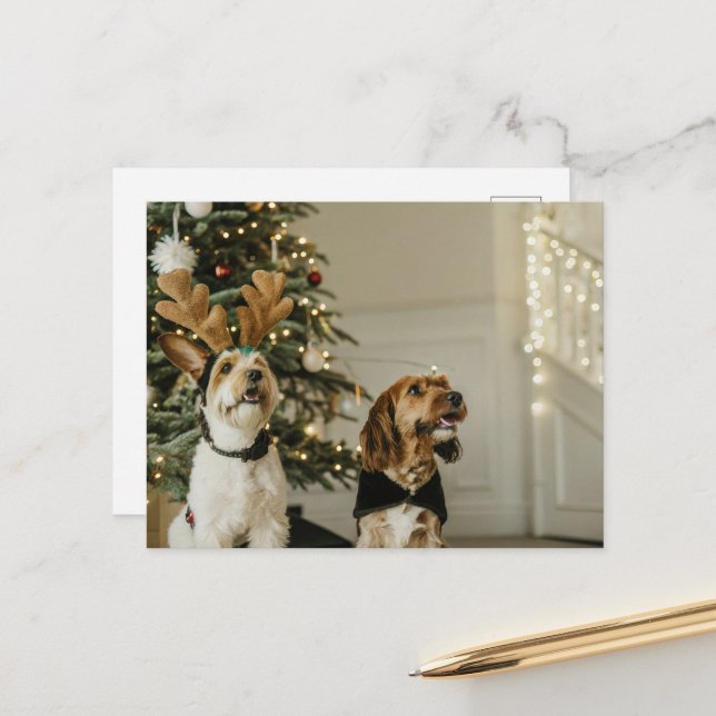 Festive Christmas Dogs Holiday Cheer Postcard (Front/Back In Situ)