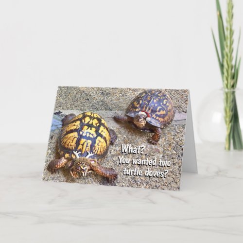 Festive Christmas Turtles Card