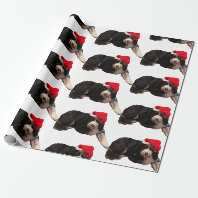 Festive & cute bernedoodle wearing a Santa hat Wrapping Paper (Unrolled)