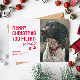 Festive Dog Photo Pet Christmas Letterpress Photo Cards