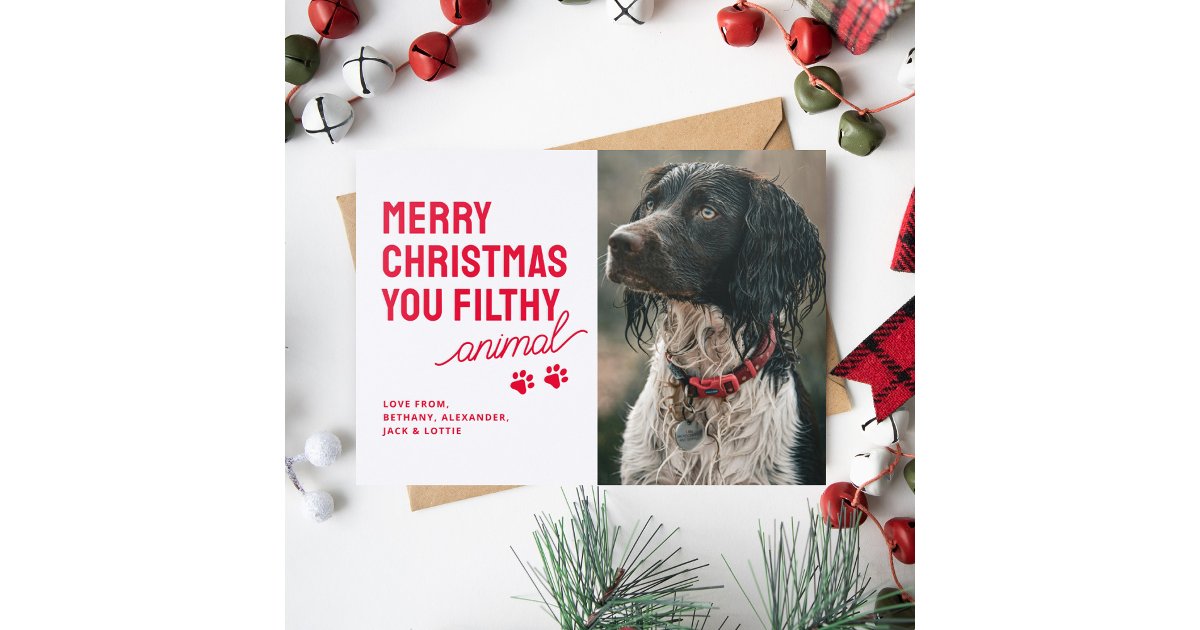Festive Dog Photo Pet Christmas Letterpress Photo Cards | Zazzle