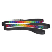 Festive Dots Rainbow Cool Cheerful Fun Colorful