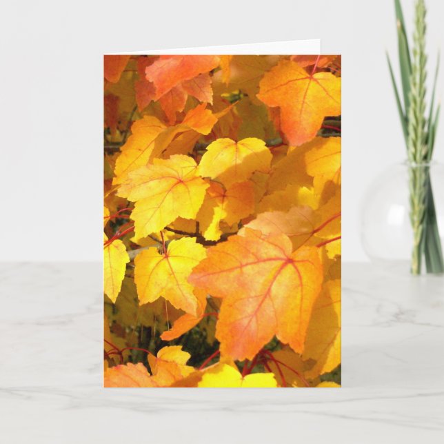 Festive Fall Colors Card (Front)
