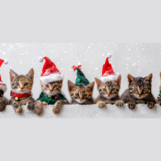 Festive Feline Christmas Puzzle