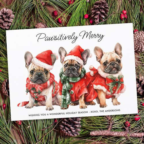 Festive French Bulldog Dogs Personalized Christmas Holiday Card