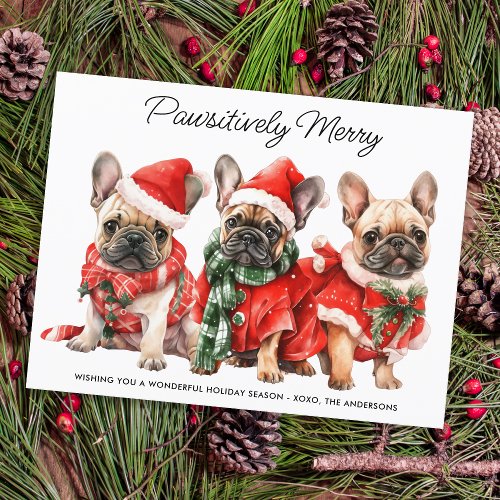 Festive French Bulldog Dogs Personalized Christmas Holiday Postcard