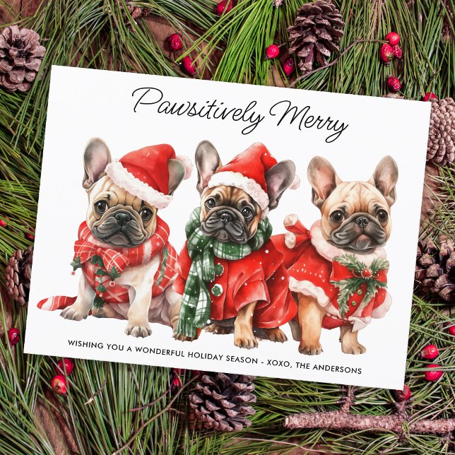 Festive French Bulldog Dogs Personalized Christmas Holiday Postcard (Creator Uploaded)