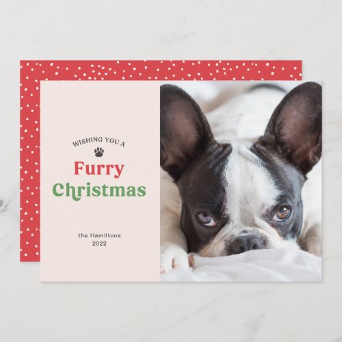 Festive Furry Christmas Pet Holiday Photo Card