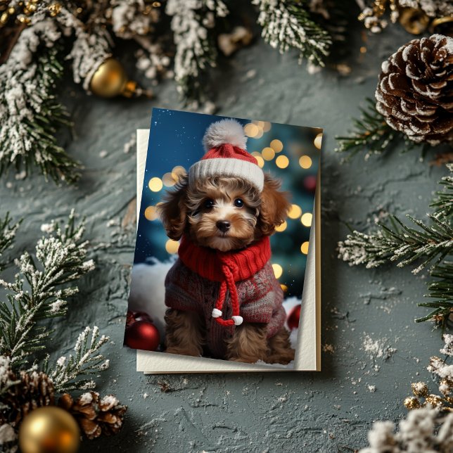 Festive Furry Friend Adorable Christmas Postcard (Creator Uploaded)