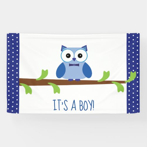 Festive Gender Reveal Baby Shower Blue Owl Banner