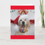 Festive Golden Retriever Holding Christmas &#39;woof&#39; Holiday Card at Zazzle