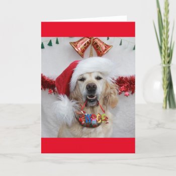 Festive Golden Retriever Holding Christmas 'woof' Holiday Card by CullyBearDesigns at Zazzle