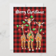 Festive Holiday Giraffe, twinkle light, red plaid 