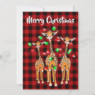 Festive Holiday Giraffe, twinkle light, red plaid Invitation