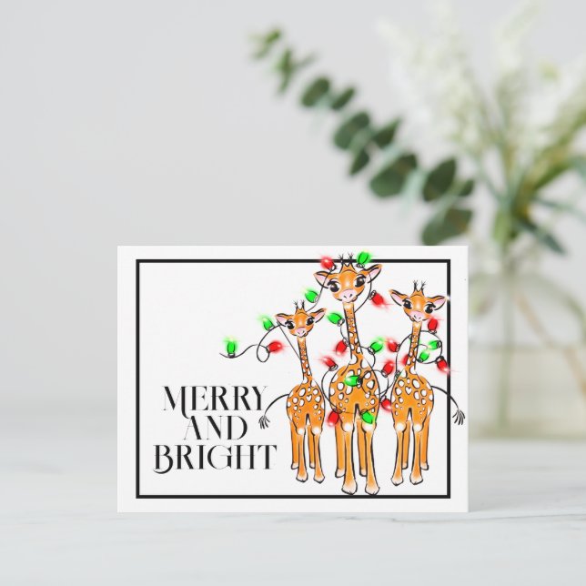 Festive holiday giraffes | red green twinkle light postcard (Standing Front)