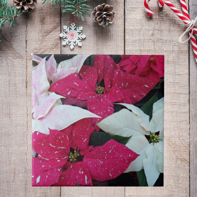 Festive Holiday Poinsettias Floral Ceramic Tile (In Situ Holiday)