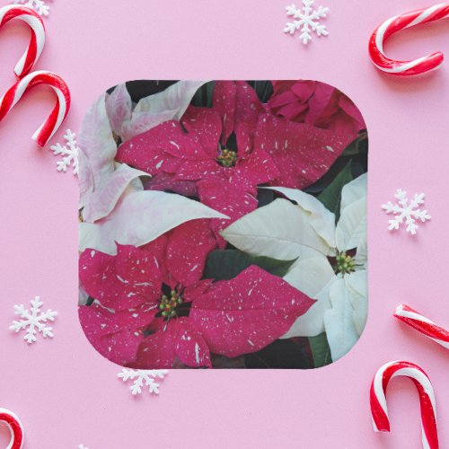 Festive Holiday Poinsettias Floral Paper Plates