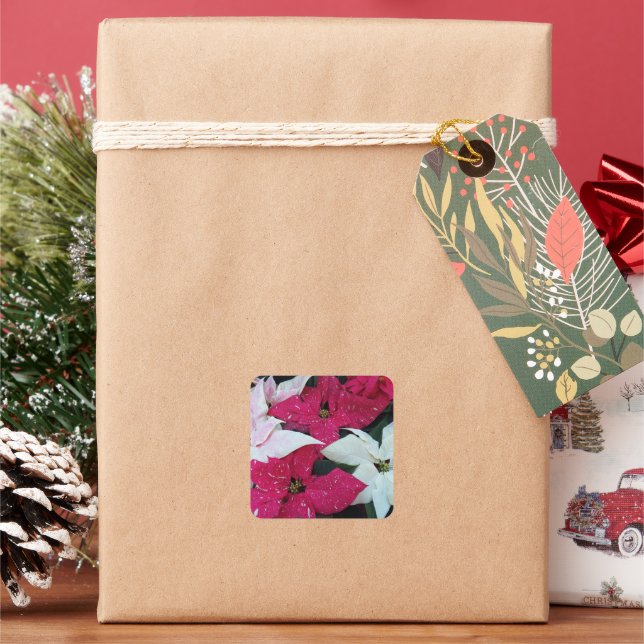 Festive Holiday Poinsettias Floral Square Sticker (Holiday)