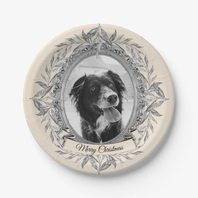 Festive Holiday Silver Frame Photo Paper Plates (Front)