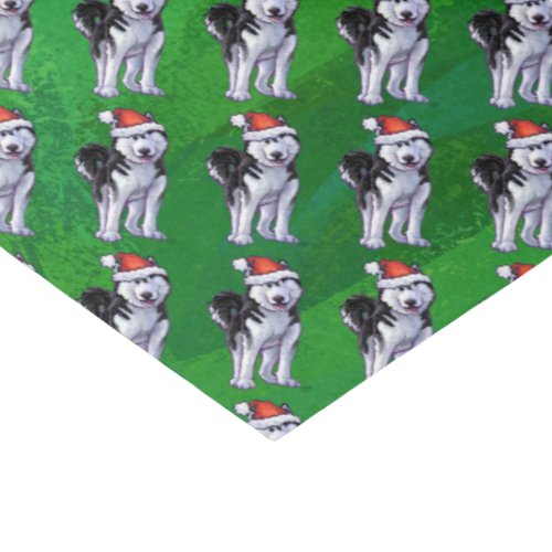 Festive Husky in Santa Hat on Green Tissue Paper