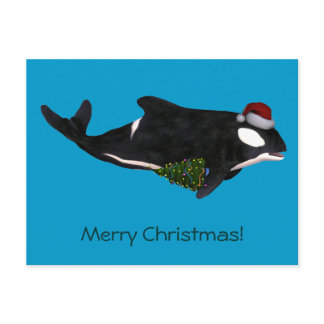 Festive Killer Whale Holiday Postcard