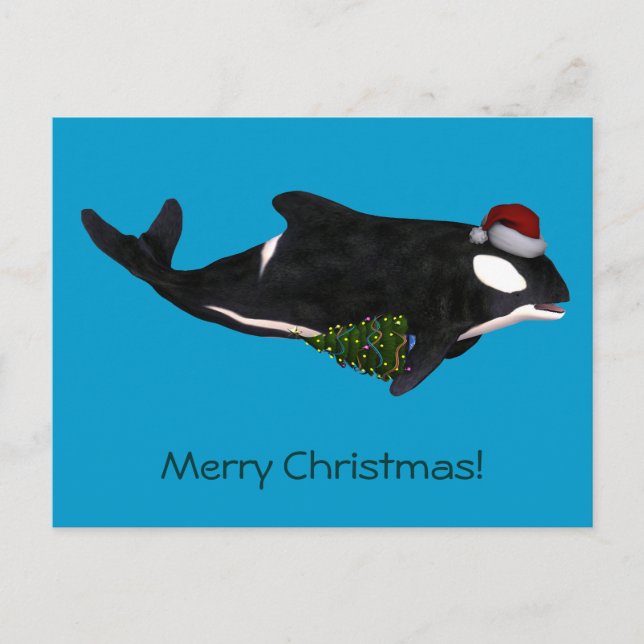 Festive Killer Whale Holiday Postcard (Front)