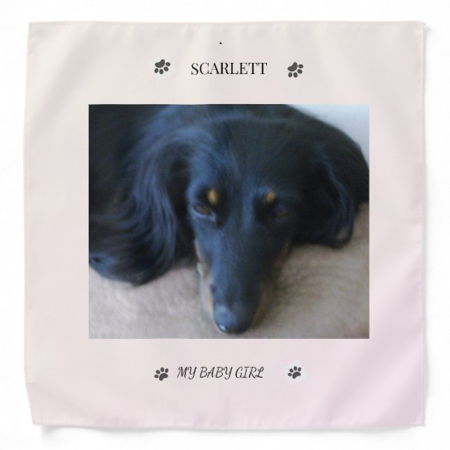 Festive Paw Print Tribute Wrap Bandana (Front)