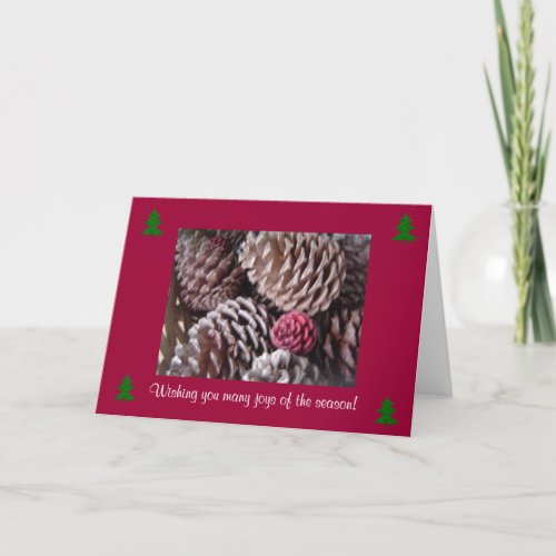 Festive Pine Cones Holiday Card