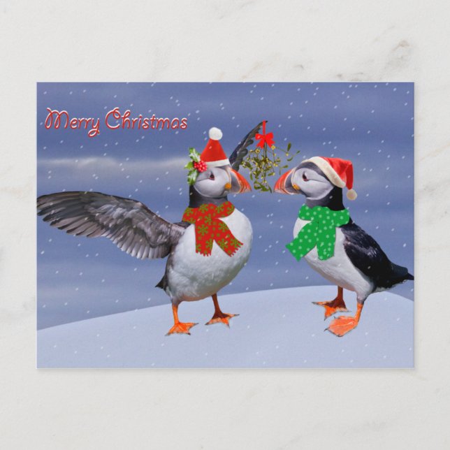 Festive Puffins Postcard (Front)
