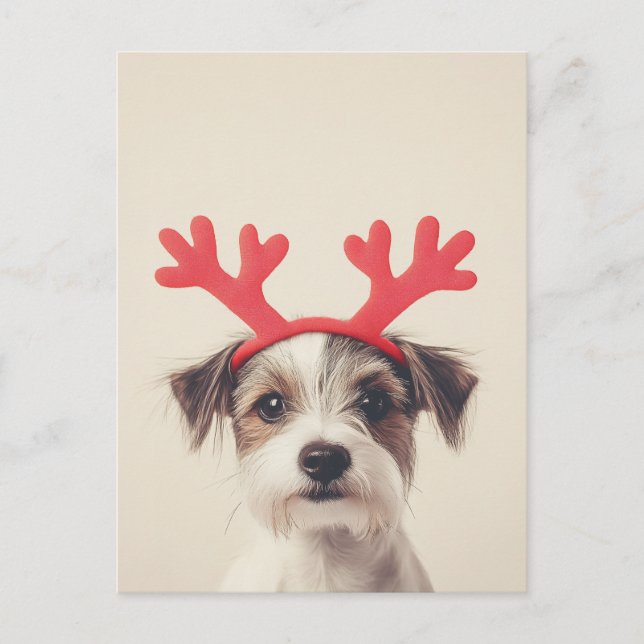 Festive Pup with Reindeer Antlers Postcard (Front)