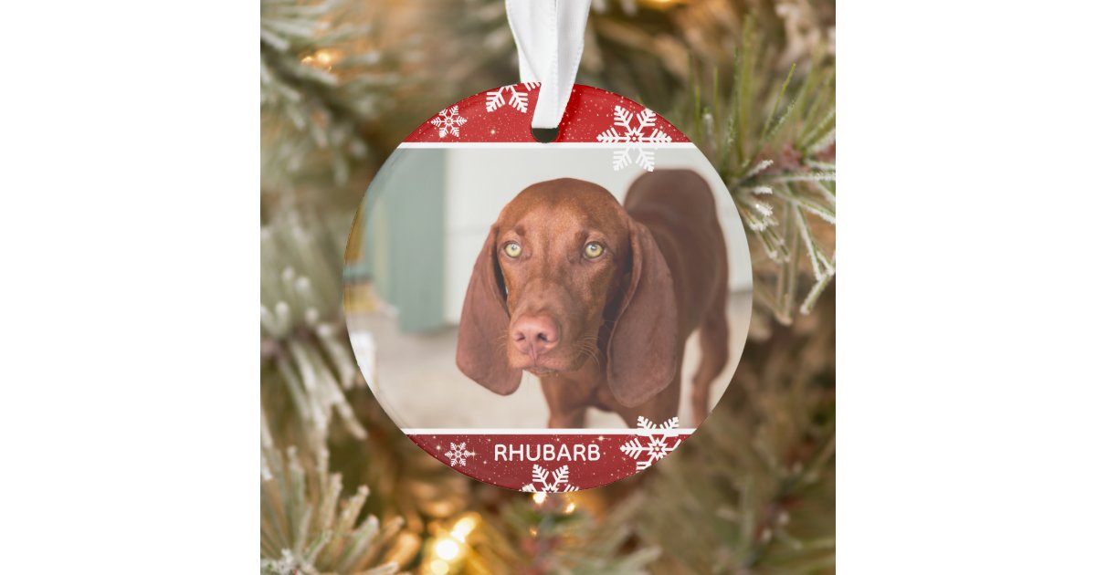 Festive Red 2 Photo Dog Christmas | Pet Ornament | Zazzle