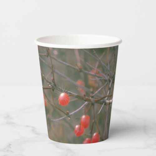Festive Red Berries Christmas Holiday  Paper Cups